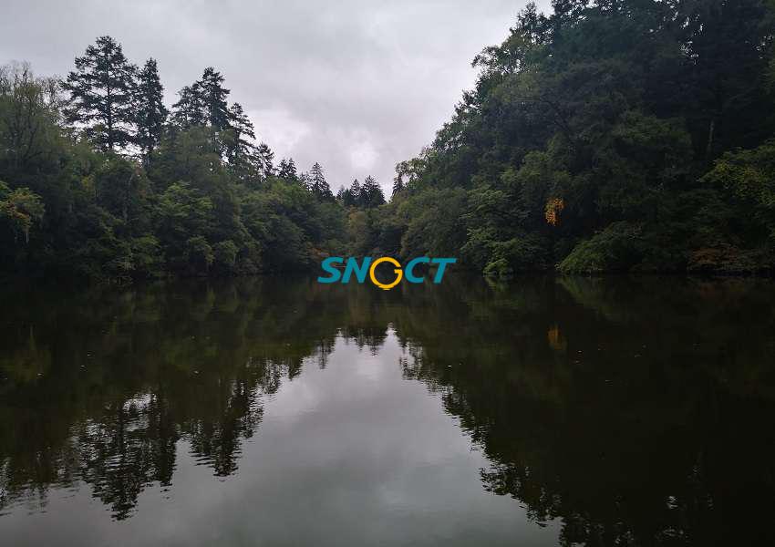 森林營造應(yīng)注意哪些問題？七個方面需引起重視！