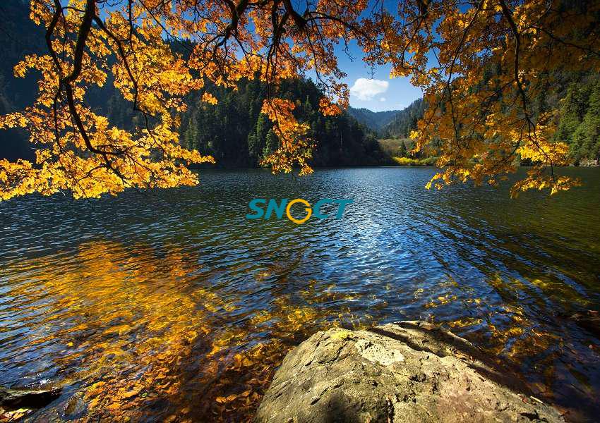 旅游規(guī)劃的主要類型有哪些？