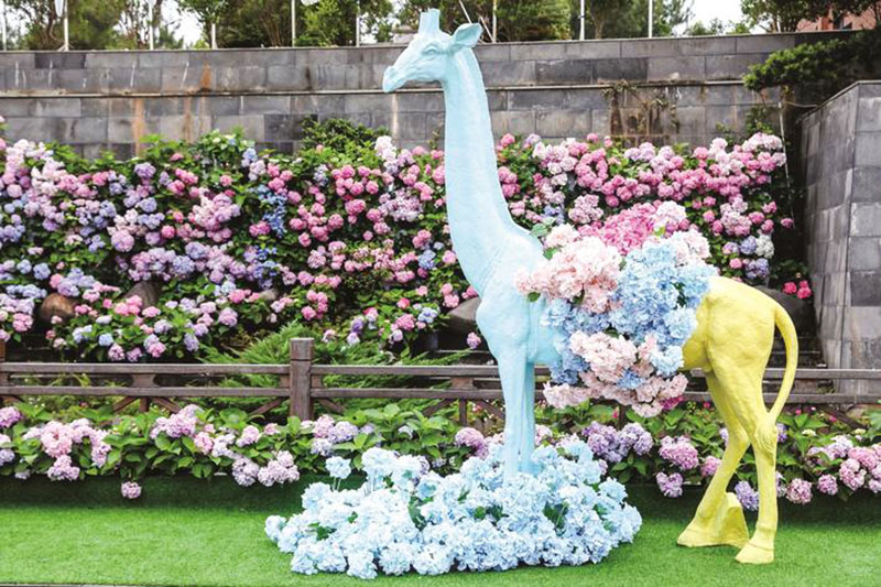 湖南：長(zhǎng)沙縣舉行首屆繡球花文化旅游節(jié)，以文旅融合助推鄉(xiāng)村振興發(fā)展之路！