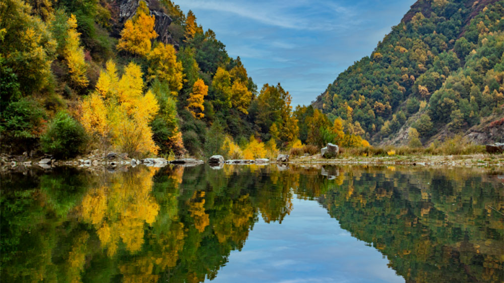 文旅動(dòng)態(tài)：文化和旅游部和青海省召開小組會(huì)議，共同打造國際生態(tài)旅游目的地！