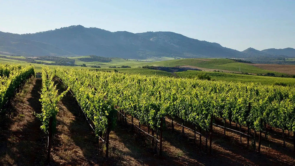 文旅動(dòng)態(tài)：寧夏文旅廳出臺(tái)實(shí)施方案，多項(xiàng)舉措加快推進(jìn)鄉(xiāng)村旅游高質(zhì)量發(fā)展！