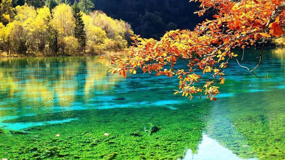 文旅：第四屆川渝文化發(fā)展合作論壇將于7月在成都召開，推動文化事業(yè)大繁榮大發(fā)展！