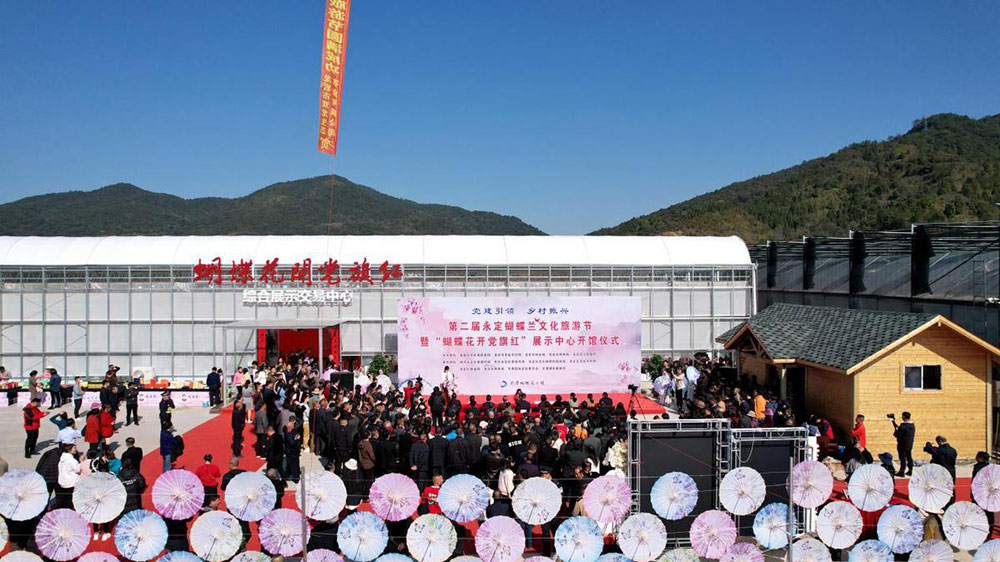 福建：第二屆永定蝴蝶蘭文化旅游節(jié)正式舉行，推動永定蝴蝶蘭產(chǎn)業(yè)高質(zhì)量發(fā)展！