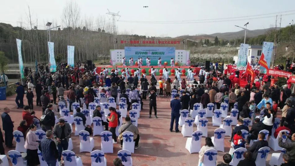 河南：2023年第十一屆西峽李花節(jié)開幕，推動(dòng)農(nóng)業(yè)產(chǎn)業(yè)化和農(nóng)游一體化發(fā)展，助力鄉(xiāng)村振興！