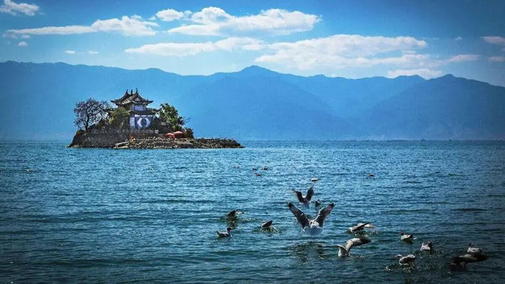 文旅動(dòng)態(tài)：云南省文化和旅游廳在四川設(shè)立招商辦，共謀旅游產(chǎn)業(yè)高質(zhì)量發(fā)展！