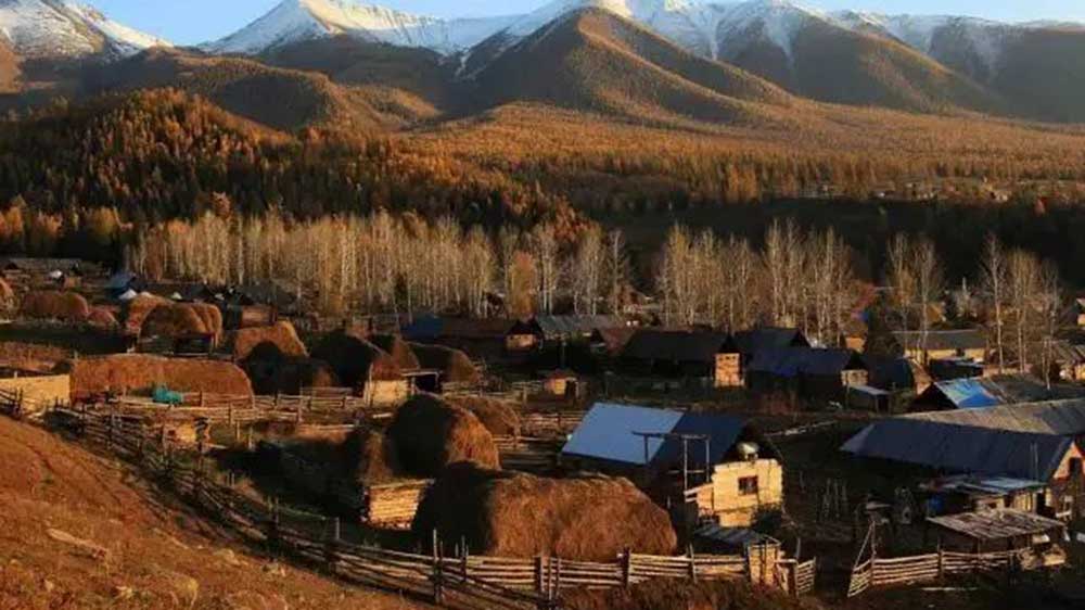 白哈巴 白哈巴.jpg