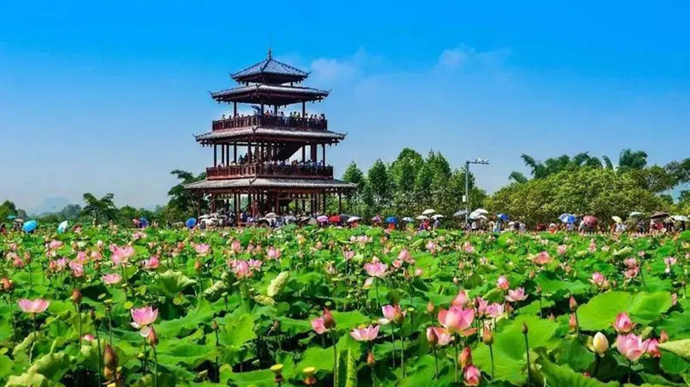 荷美覃塘景區(qū) 荷美覃塘景區(qū).jpg