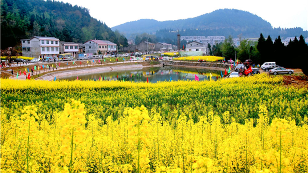 南充：南部縣2024年鄉(xiāng)村旅游文化節(jié)將于3月16日舉行，進(jìn)一步推動(dòng)鄉(xiāng)村旅游產(chǎn)業(yè)發(fā)展！