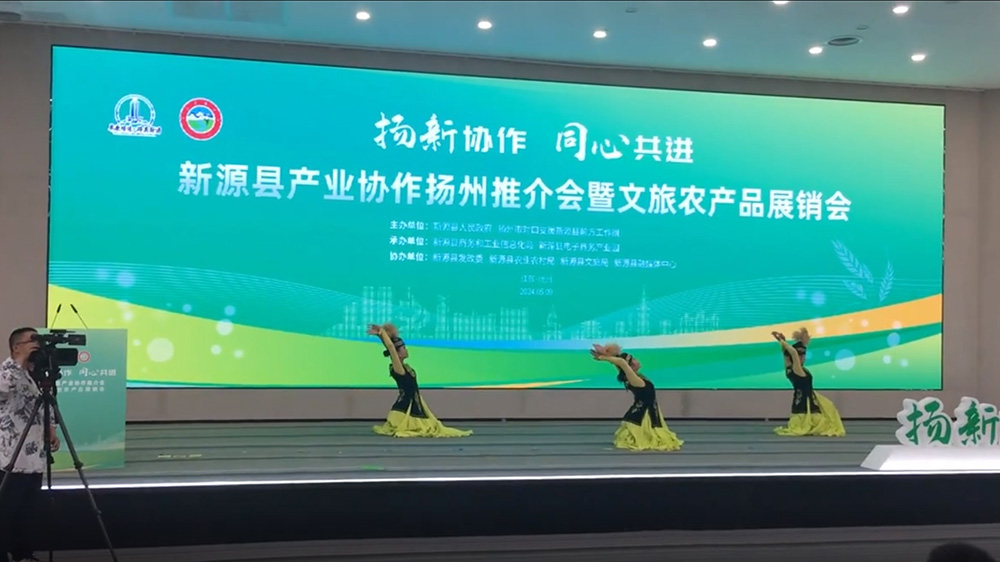 新源縣產業(yè)協(xié)作推介會暨文旅農產品展銷會文藝表演.jpg