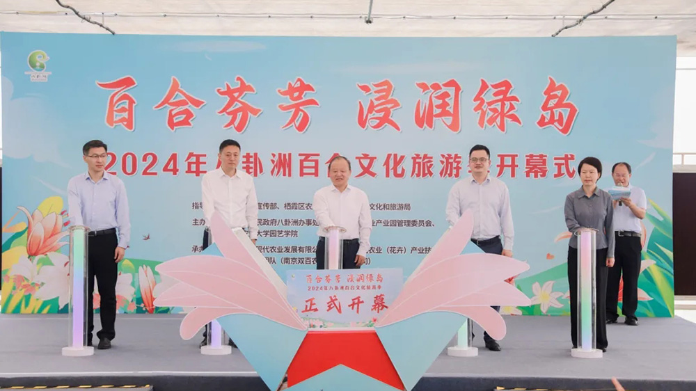 江蘇：2024年八卦洲百合文化旅游季正式啟動(dòng)，進(jìn)一步助推八卦洲現(xiàn)代農(nóng)業(yè)產(chǎn)業(yè)振興！